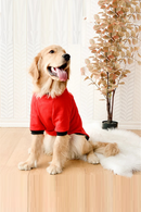 Big Dogs Solid Hoodies Autumn Winter Pet Clothing Hooded Sweatshirt For Dogs Clothes Casual Outwears
