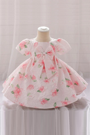 Baby Girls Dress Flower Infant Birthday Dresses Puff Sleeve Christening Gowns Baby Baptism Clothes Party Wedding Dresses