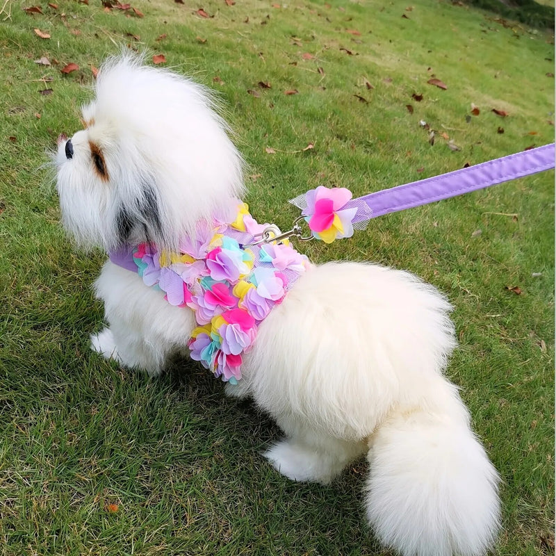 Pet Dog Accessories Pets Dogs Harness Leash Flower Decoration Small Cats Matching Leash Double Strap Classic Collar Dog Harness