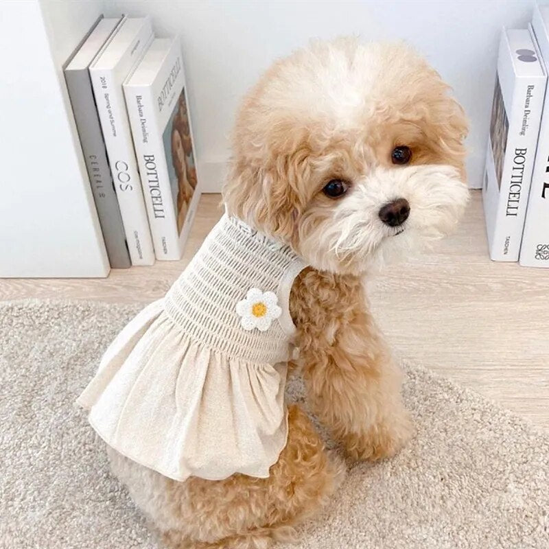 Spring Summer Pet Clothes Kitten Puppy Lovely Princess Skirt Small and Medium-sized Dog Vest Solid Dress