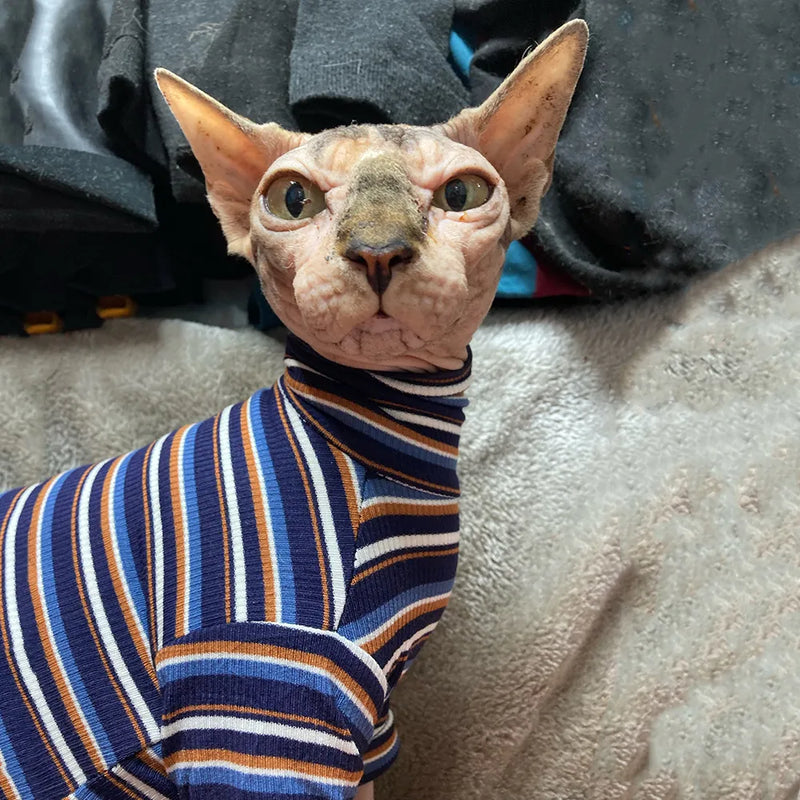New Sphinx Devon Hairless Cat Clothes For Kitten Knitted Striped High Collar Cat Clothing Spring Autumn Kitty Costume For Pet