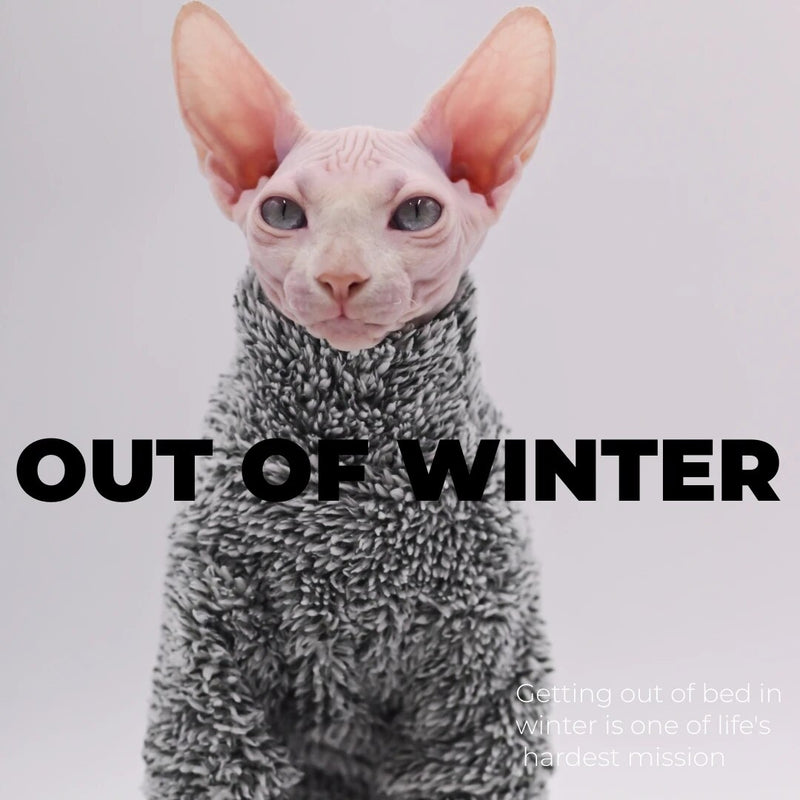 Super Cool Cat Outfits  Autumn Winter Warm Wearing Hairless Cat Apparel Clothing Sphynx Cat Clothes