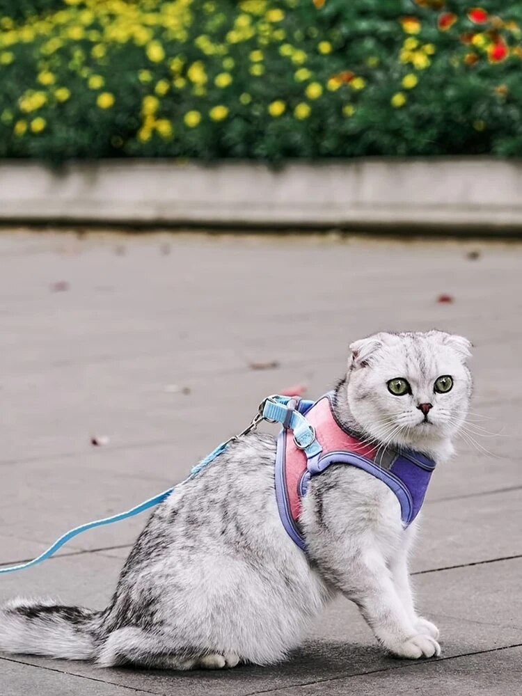 Cat Harness Adjustable Vest and Anti-Leak Leash Cat Accessories Training Collar Dog Small Dogs Collars