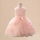 Flower Girl Wedding Party Dress Toddler Girls Birthday Princess Dresses Kids Pink Embroidery Gown Baby Pleated
