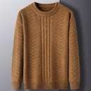 Autumn Winter Knitted Men's Casual Sweater Round Neck Twists Weaving Pullover Men Warm Sweater
