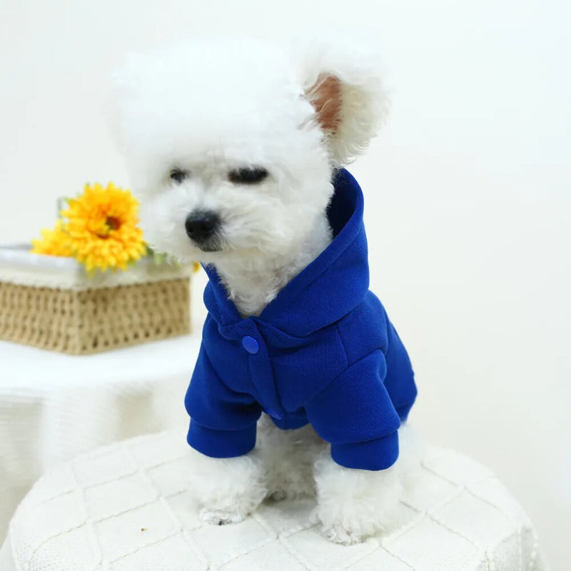 Pet Hoodie Autumn Winter Cute Designer Clothes Small Dog Harness Cat Warm Sweater Puppy Shirt Pug