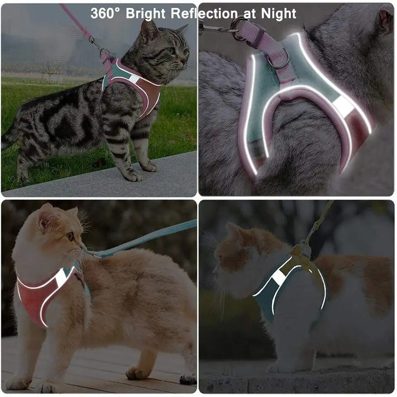 Cat Harness Adjustable Vest and Anti-Leak Leash Cat Accessories Training Collar Dog Small Dogs Collars