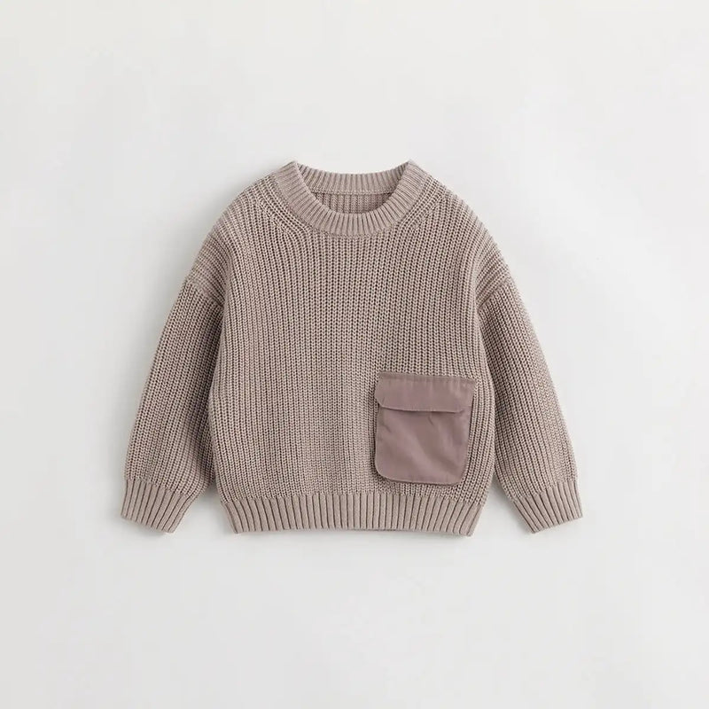 Outdoor Style Boys Crew Neck Twisted Knit Sweater for Winter