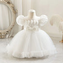 43777148485788|43777148518556|43777148682396|43777148715164