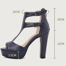 Female Sandals Peep Toe Heels 12cm Platform 3.5cm Zipper T-strap