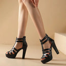 Women Sandals Peep Toe Chunky Heels 11.5cm Platform 3.5cm Zipper Buckle T-Strap Dating Shoes