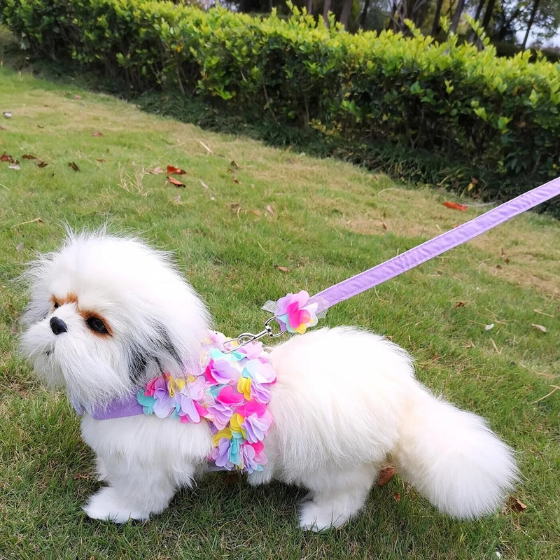 Pet Dog Accessories Pets Dogs Harness Leash Flower Decoration Small Cats Matching Leash Double Strap Classic Collar Dog Harness