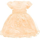 Baby Girl Christmas dress  For Girls 1 Year Birthday Flower Dresses For Wedding Princess Baptism Christening Birthday