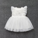 Bébé robe d'été filles princesse dentelle robe bébé baptême baptême robe fête mariage 0-12 mois photo tir jolie robe