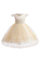 Trailing Formal Bridesmaid Dresses For Girl Children Costume Lace Beaded Girls Princess Party Dress Kids Birthday Wedding Gown