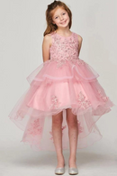 Exquisite Flower Little Girl Dress Baby Dresses Pretty Appliques Sleeveless Scoop Neck Short Kid Evening Party Gowns