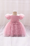 Toddler Lace Floral Baby Bow Princess Girls Dress Infant Birthday Baptism Party Ball Gown