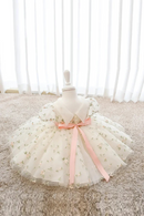 Infant birthday Baby Dress Flower Embroidery Princess Party Wedding Dress For Baby