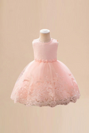 Embroidery Baby Girls Toddler Kids Birthday Party Princess Baby Girls Baptism