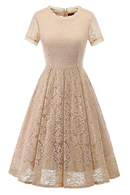 Elegant Lace Swing Party Short Prom Dress Short Sleeve Solid Evening Dresses