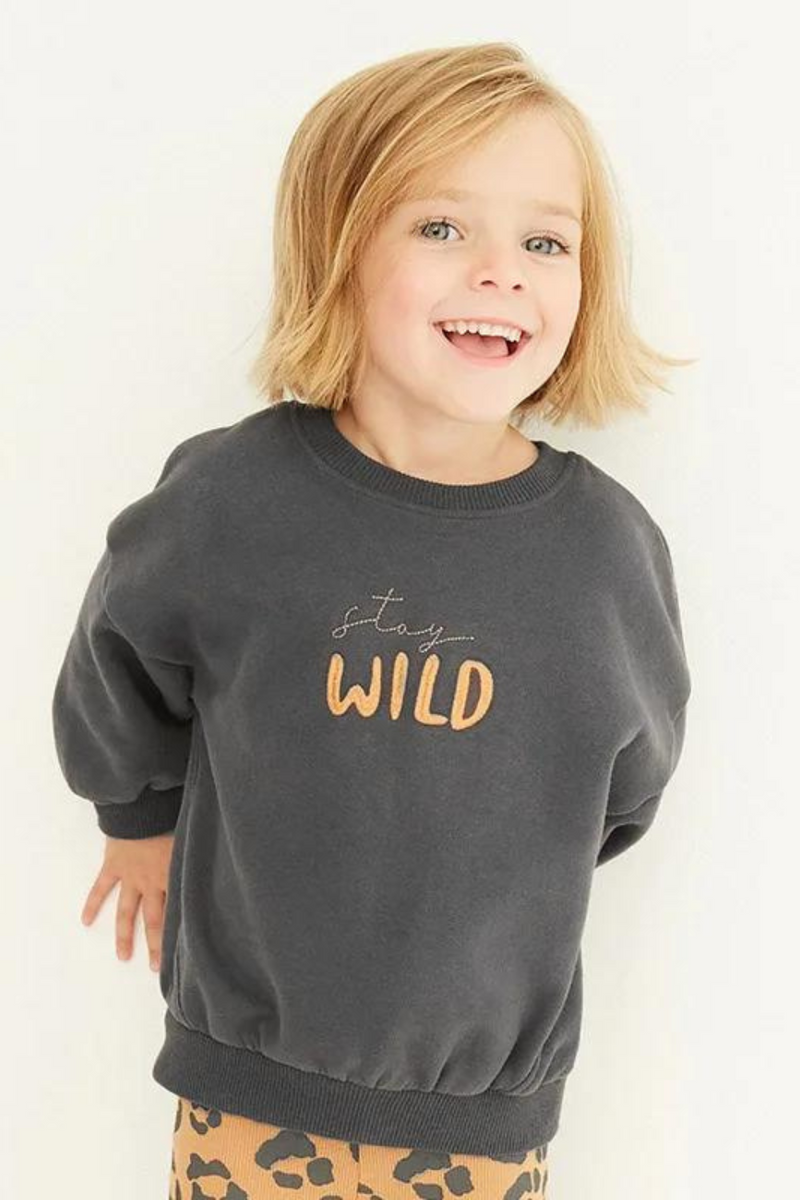 Boys Sweater Hoodies Kids T-shirt Casual Sweatshirts Children Clothing Cartoon Baby Boys Clothes