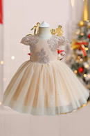 Champagne Bow Dress for Baby Girl Flower Lace Princess Prom Gown Tulle Tutu Birthday Formal Dress