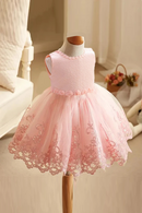 Flower Girl Wedding Party Dress Toddler Girls Birthday Princess Dresses Kids Pink Embroidery Gown Baby Pleated