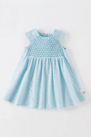 Girl Blue Sleeveless Dress Mesh Party Dress