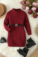 Autumn Kids Girls Casual Princess Dress Long Sleeve Turtleneck Knit Dress Belt Spring Clothes