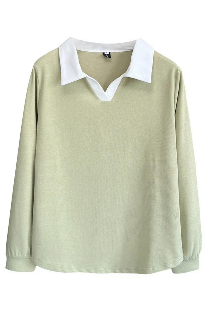 Women's Sweatshirt Spring Leisure Contrast POLO Collar Basic Top