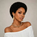 Kinky Curly Short Pixie Cut Wig Human Hair Wigs for Women's