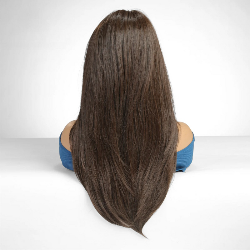 Lace Front Wig Brown Straight Hair Wigs for  Women Daily Hair