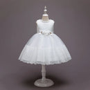 43009308655772|43009308688540|43009308721308|43009308786844|43009308819612|43009308852380|43009308917916|43009308950684|43009308983452