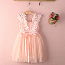 Wholesale Princess Toddler Kid Child Girl Tutu Dress Lace Tulle Party Wedding Birthday Dresses For Girls Summer Sleeveless