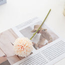 42727865254044|42727865286812