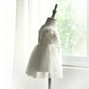 Baby Girls Dress Embroidery Lace Kids Princess Cute Dresses for Tulle Girl Bridesmaids Birthday Party Dress Casual Wear 3-24M