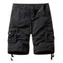 42896084467868|42896084500636|42896084533404|42896084566172|42896084598940