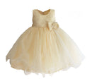Girls Dress Pearl Collar Lace Flower Wedding Princess Dress Girls Clothes
