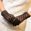 43052882788508|43052882821276|43052882854044|43052882886812