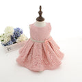 Pink lace dress on a mannequin with flowers in the background, Obroi