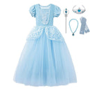 Little Girls Blue Cinderella Dress Up Children Puff Sleeve Elegant Prom Party Dress Kids Girl Birthday Princess Costume