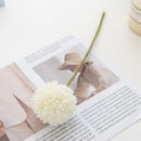 42727865057436|42727865090204