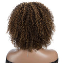 Mannequin head with curly brown hair on a white background, Obroi