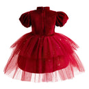 Children's Dress Wedding Standing Neck Girls Dress Red Velvet Children's Dress Christmas Clothing