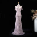 Champagne Evening Dress Sheer Sleeve Grid Rhinestone Mermaid Formal Occasion Gown