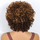 Short Pixie Curly Bob Wigs For Women Hair Full Glueless Clearance