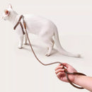 Adjustable Leather Cat Harness and Leash Set Kitten Accessories Pet Items Gatos Accesorios Cat Anti Bite