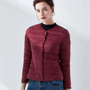 42967294410908|42967294443676|42967294476444|42967294509212|42967294541980|42967294574748