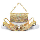 Women Shoes and Bags To Match Set Party Ladies Shoe and Bag Set Latest Elegant Heeled Pumps for Women