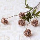 Decorative branch with brown pom-pom-like flowers on a textured white , Obroi
